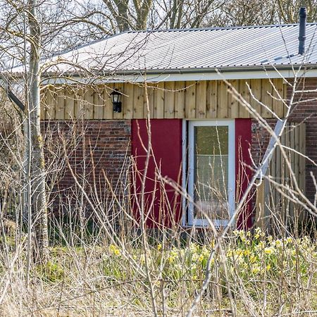 Apartamento Deichgraf 1 Friedrichskoog Exterior foto