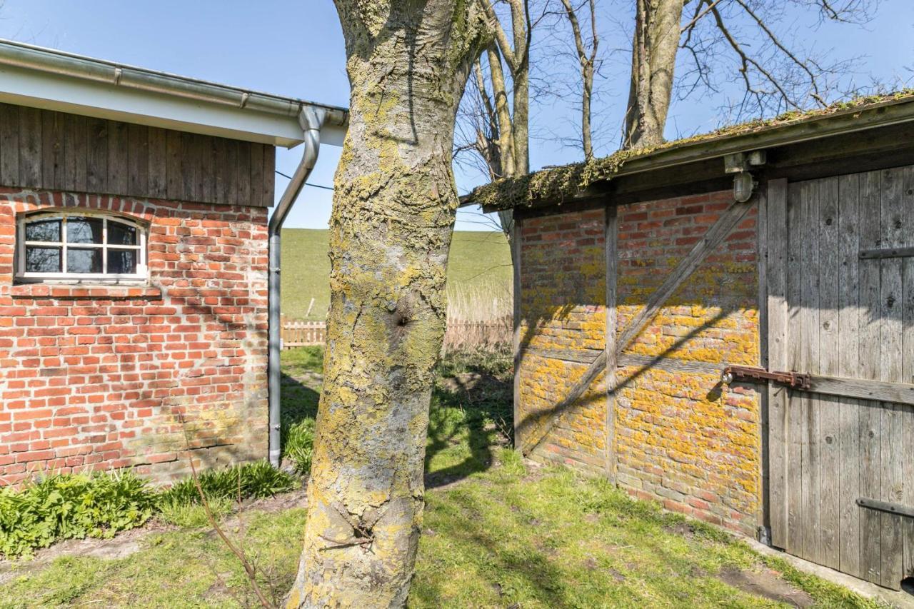 Apartamento Deichgraf 1 Friedrichskoog Exterior foto