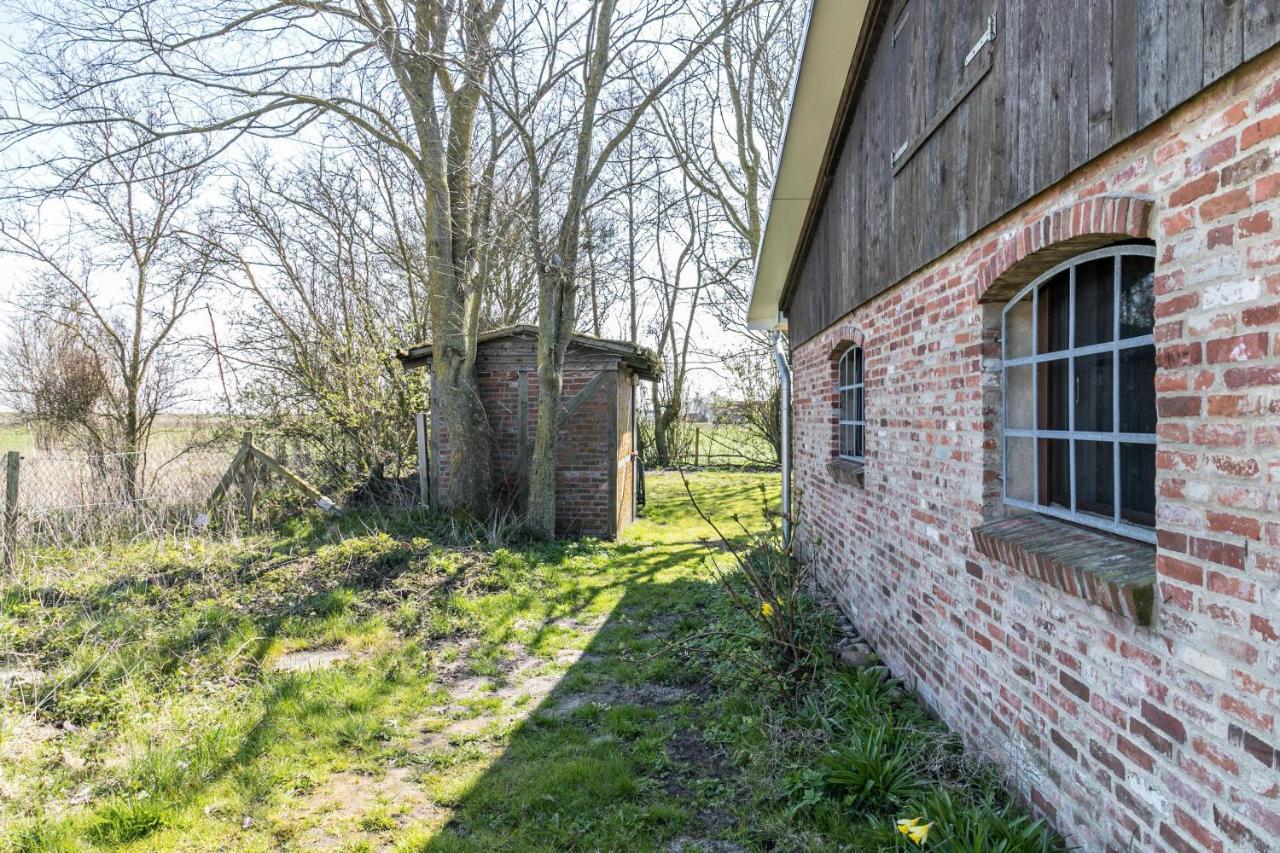 Apartamento Deichgraf 1 Friedrichskoog Exterior foto